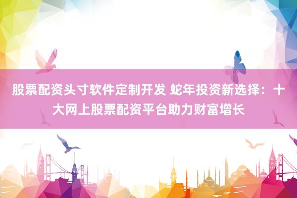股票配资头寸软件定制开发 蛇年投资新选择：十大网上股票配资平台助力财富增长