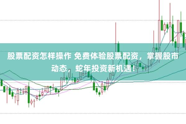 股票配资怎样操作 免费体验股票配资，掌握股市动态，蛇年投资新机遇！
