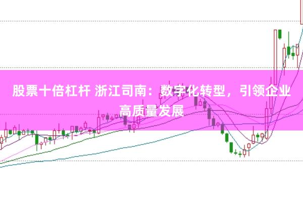 股票十倍杠杆 浙江司南：数字化转型，引领企业高质量发展