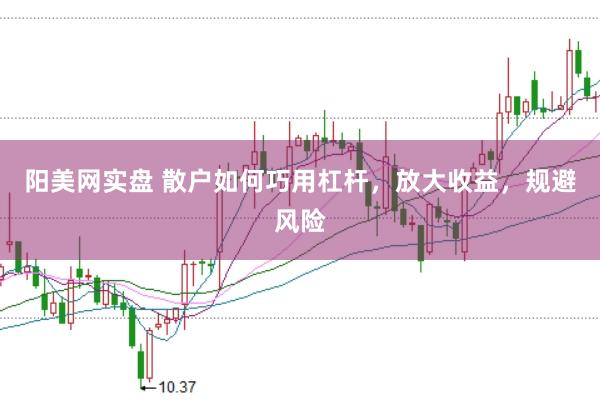 阳美网实盘 散户如何巧用杠杆，放大收益，规避风险