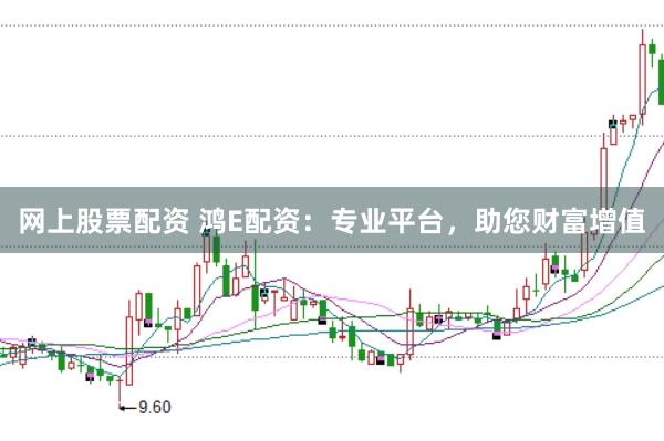 网上股票配资 鸿E配资：专业平台，助您财富增值