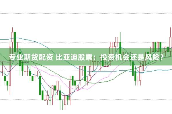 专业期货配资 比亚迪股票：投资机会还是风险？