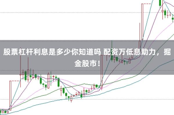 股票杠杆利息是多少你知道吗 配资万低息助力，掘金股市！