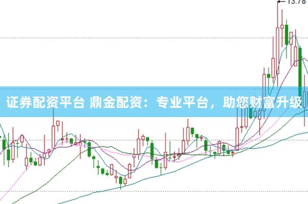 证券配资平台 鼎金配资：专业平台，助您财富升级