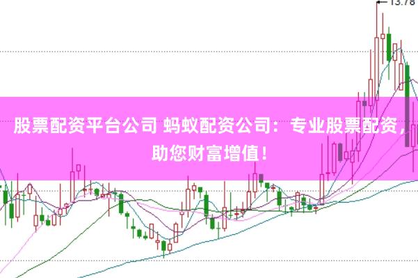 股票配资平台公司 蚂蚁配资公司：专业股票配资，助您财富增值！