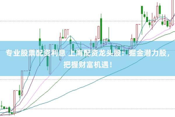 专业股票配资利息 上海配资龙头股：掘金潜力股，把握财富机遇！