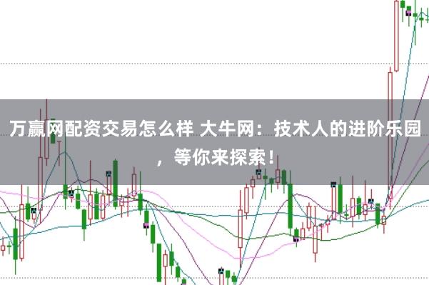 万赢网配资交易怎么样 大牛网：技术人的进阶乐园，等你来探索！