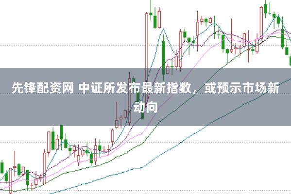 先锋配资网 中证所发布最新指数，或预示市场新动向