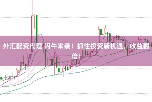 外汇配资代理 闪牛来袭！抓住投资新机遇，收益翻倍！