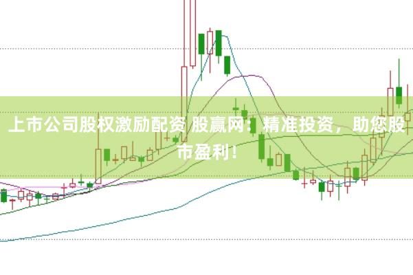 上市公司股权激励配资 股赢网：精准投资，助您股市盈利！