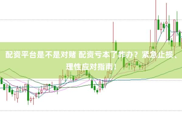 配资平台是不是对赌 配资亏本了咋办？紧急止损、理性应对指南！