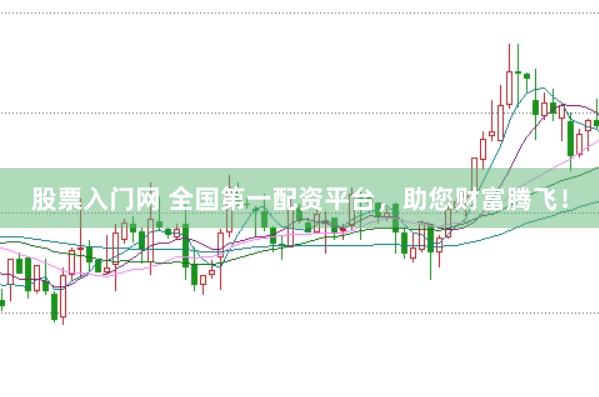 股票入门网 全国第一配资平台，助您财富腾飞！