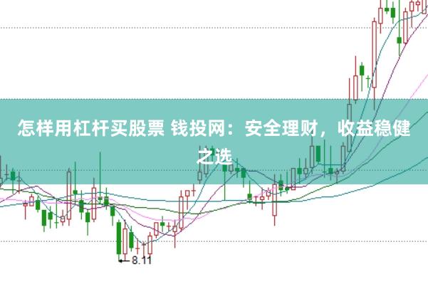 怎样用杠杆买股票 钱投网：安全理财，收益稳健之选