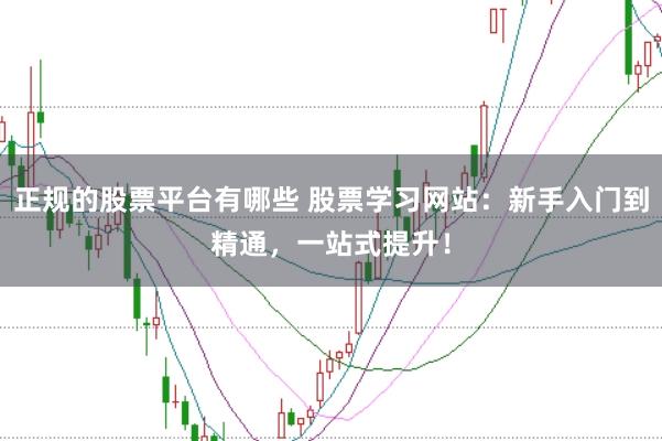 正规的股票平台有哪些 股票学习网站：新手入门到精通，一站式提升！