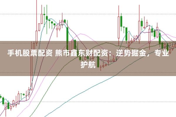 手机股票配资 熊市鑫东财配资：逆势掘金，专业护航