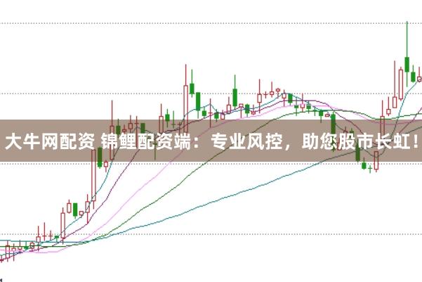 大牛网配资 锦鲤配资端：专业风控，助您股市长虹！