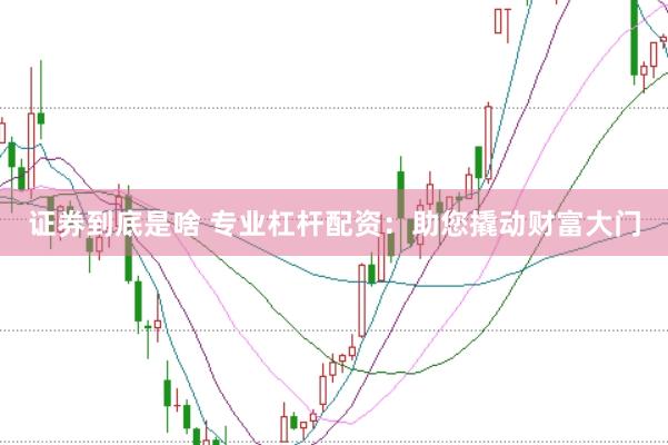 证券到底是啥 专业杠杆配资：助您撬动财富大门