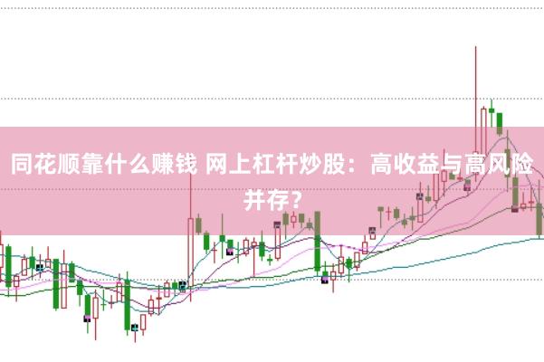 同花顺靠什么赚钱 网上杠杆炒股：高收益与高风险并存？