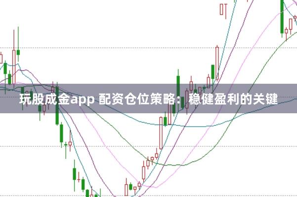 玩股成金app 配资仓位策略：稳健盈利的关键