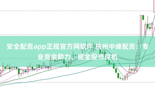 安全配资app正规官方网软件 杭州中峰配资：专业资金助力，掘金股市良机