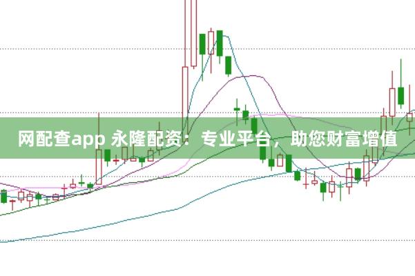 网配查app 永隆配资：专业平台，助您财富增值