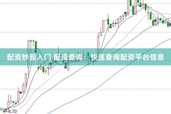 配资炒股入门 配资查询：快速查询配资平台信息