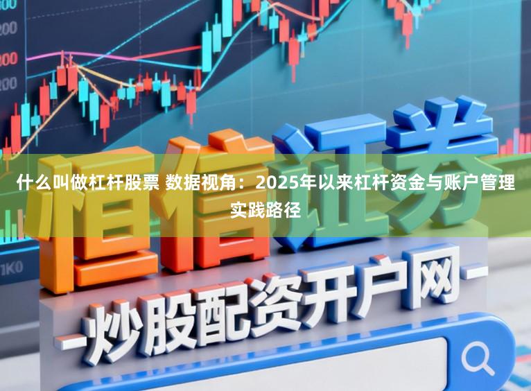 什么叫做杠杆股票 数据视角：2025年以来杠杆资金与账户管理实践路径