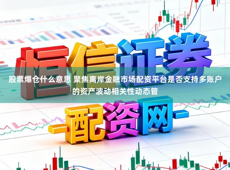 股票爆仓什么意思 聚焦离岸金融市场配资平台是否支持多账户的资产波动相关性动态管