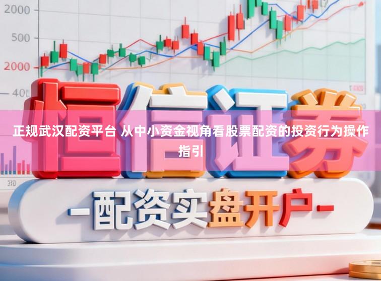 正规武汉配资平台 从中小资金视角看股票配资的投资行为操作指引